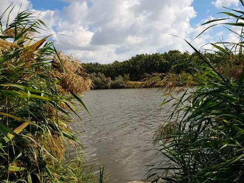 дом по адресу береговая