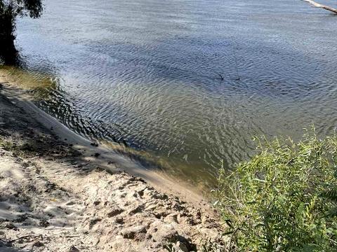 дом по адресу Південна