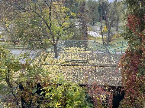 квартира по адресу Віктора Ярмоли ул., 38