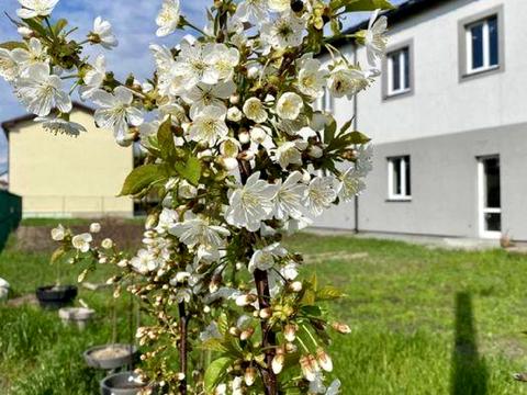 дом по адресу Евгения Гребёнки ул., 5-А