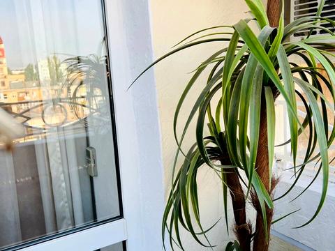 квартира по адресу Жуковского ул. (Жуковського), 16