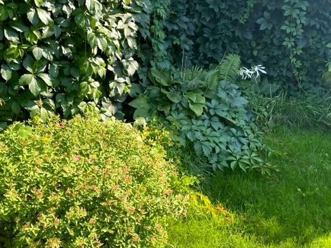 будинок за адресою Павла Глазового вул. (Олега Кошового)