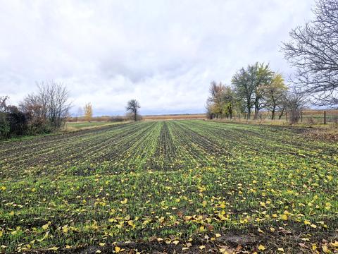 дом по адресу Центральна, 8