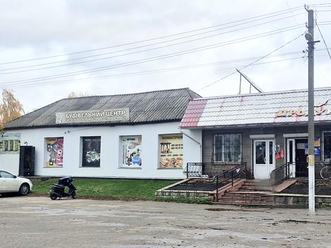 дом по адресу Центральна, 8