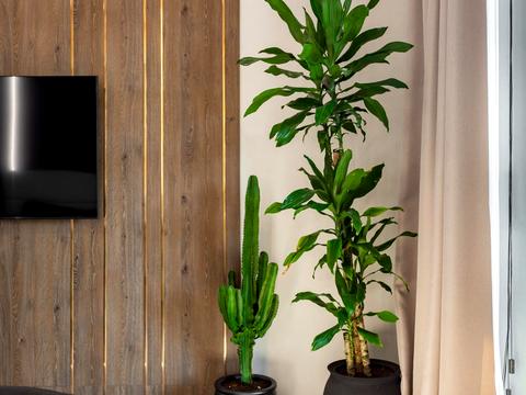 будинок за адресою Олександра Єрмакова вул.