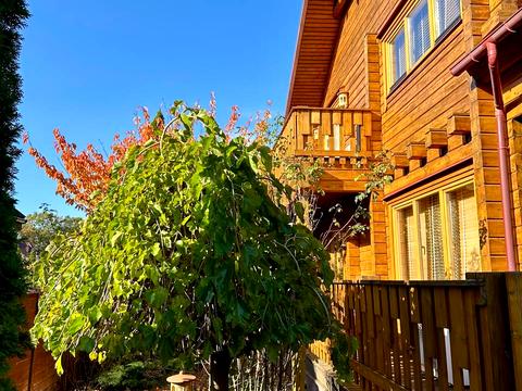 будинок за адресою Вишнева вул., 20