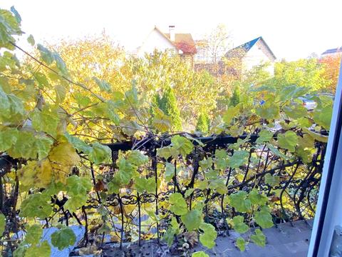 будинок за адресою Патріотів вул.