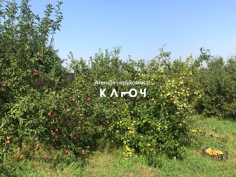 дом по адресу Мира ул.