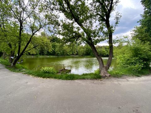 комерційна за адресою Георгія Дудника вул. (Цюрупинська), 2