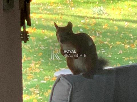 будинок за адресою Ірпінська вул.