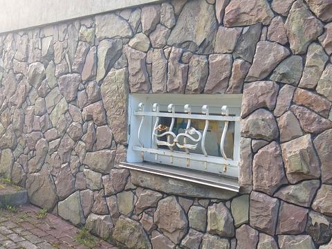 коммерческая по адресу Львовская ул., 11