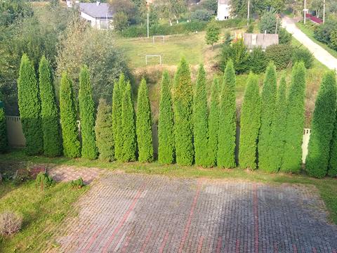 коммерческая по адресу Львовская ул., 11