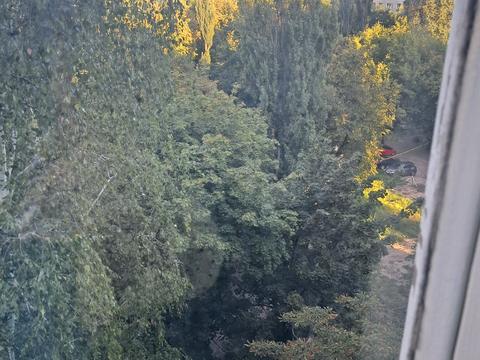 квартира за адресою Володимира Покотила вул. (Картвелішвілі), 9