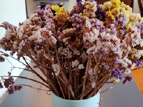 квартира по адресу Паньковская ул., 27/78