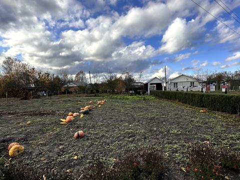 будинок за адресою Щорса пров