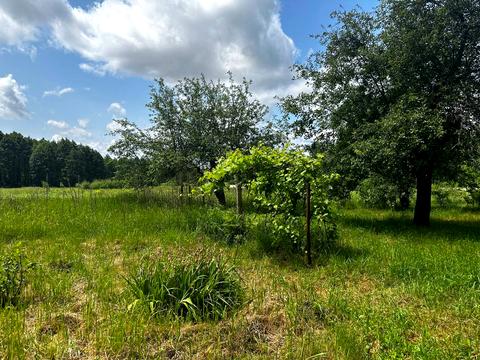 участок по адресу Почепин, 70