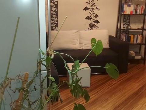 квартира за адресою Лук'янівська вул., 81