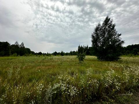 участок по адресу 