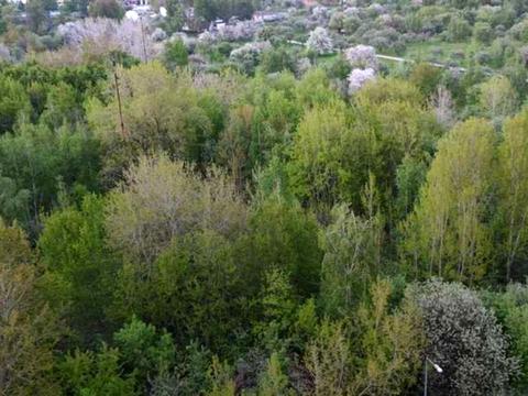 квартира за адресою Юлії Здановської вул. (Ломоносова), 46/1