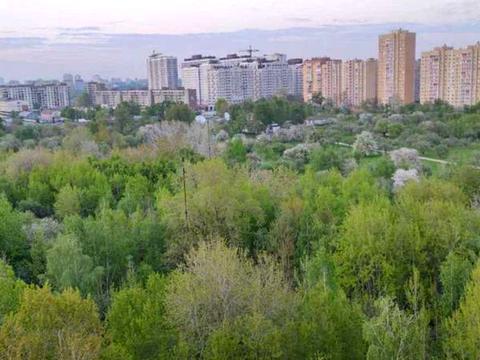 квартира за адресою Юлії Здановської вул. (Ломоносова), 46/1