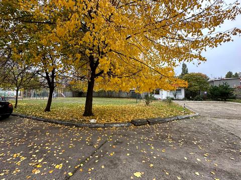 квартира по адресу Ивана Франко ул., 51