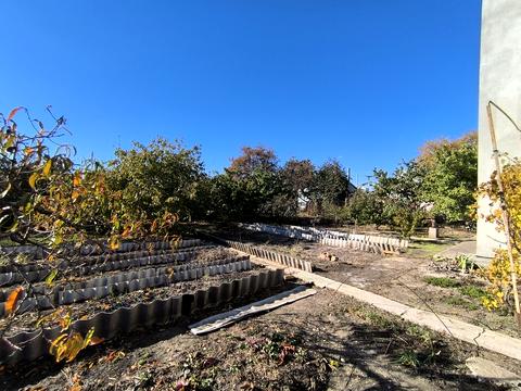 будинок за адресою Петра Лещенка вул. (Комінтерну)