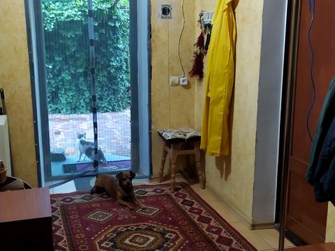 будинок за адресою Петра Лещенка вул. (Комінтерну)