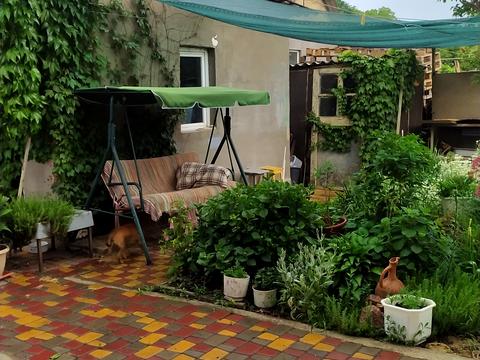 будинок за адресою Петра Лещенка вул. (Комінтерну)