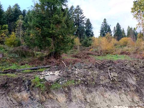 участок по адресу Промислова вул.