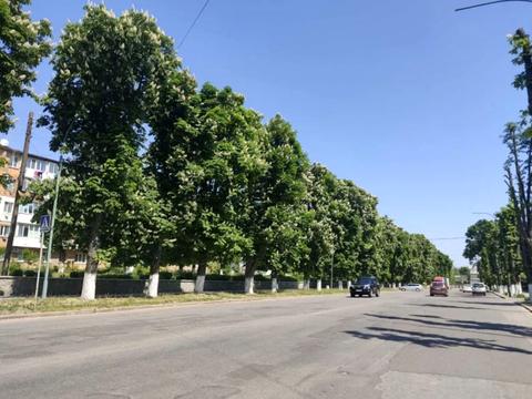 квартира за адресою Столярчука вул., 48