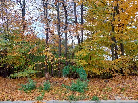 ділянка за адресою Соломії Крушельницької вул.