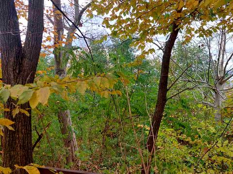 ділянка за адресою Соломії Крушельницької вул.