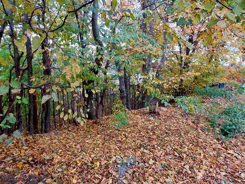 ділянка за адресою Соломії Крушельницької вул.