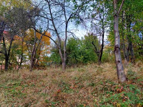 ділянка за адресою Соломії Крушельницької вул.