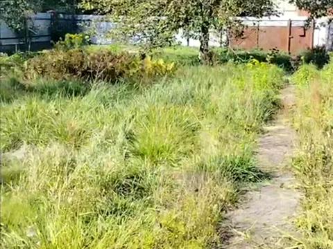 будинок за адресою Ілони Куровської вул., 4