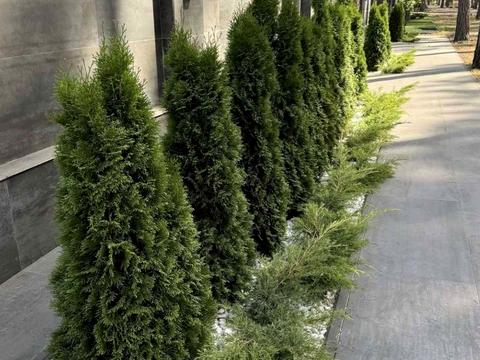 дом по адресу Котляревського