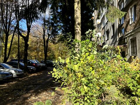 квартира за адресою Петра Полтави вул., 35