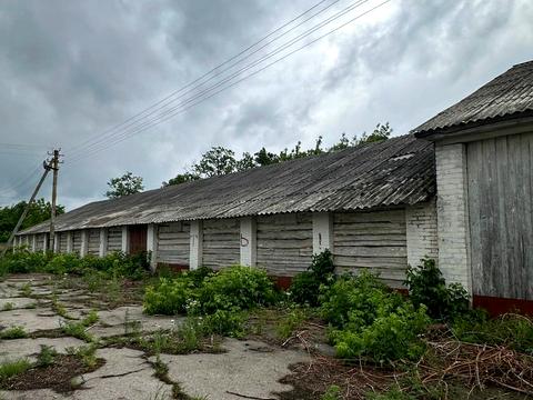 комерційна за адресою Шевченка, 1