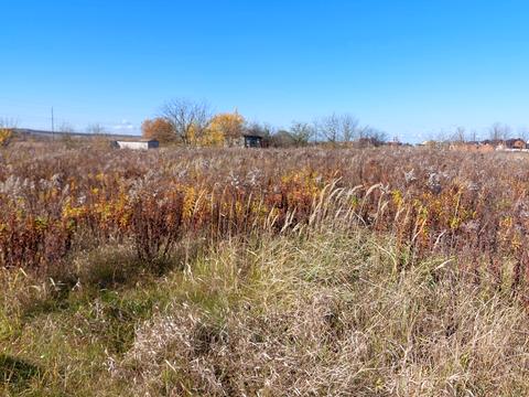 ділянка за адресою Київська