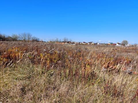 ділянка за адресою Київська