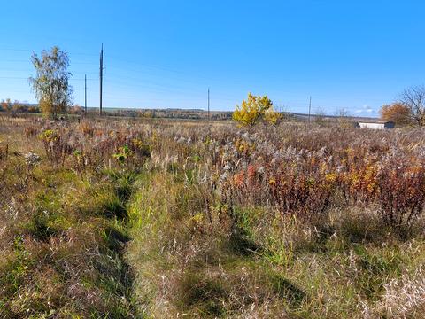 ділянка за адресою Київська