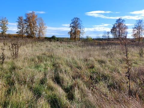 ділянка за адресою Київська