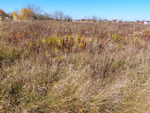 ділянка за адресою Київська