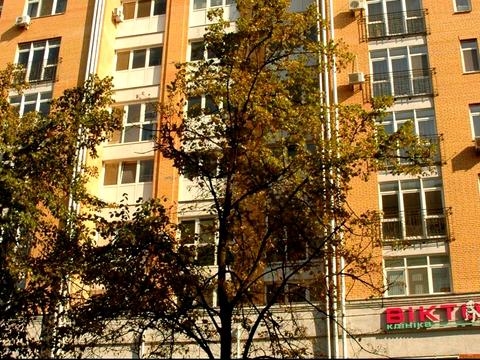 комерційна за адресою Почайнинська вул., 70