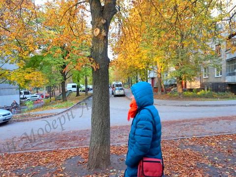 комерційна за адресою Гвардійців-Широнінців вул., 77