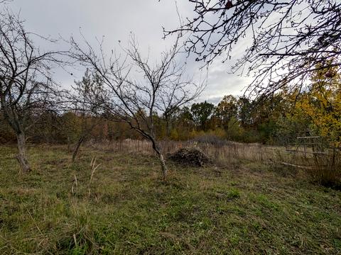 ділянка за адресою Лесі Українки