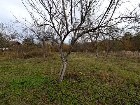 ділянка за адресою Лесі Українки