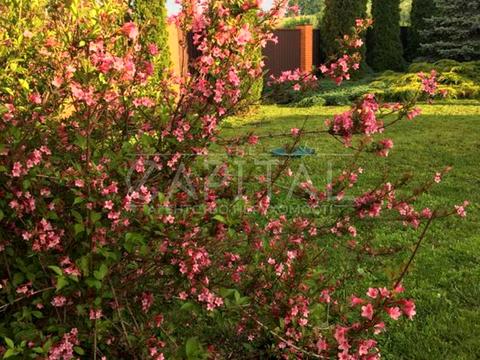 будинок за адресою Тиханська вул., 1