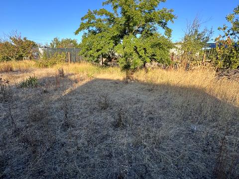 дом по адресу Кленовая