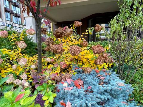 квартира по адресу Мартинова просп., 4